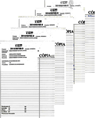 Processo Digitalizado