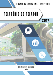 Relatrio do Relator