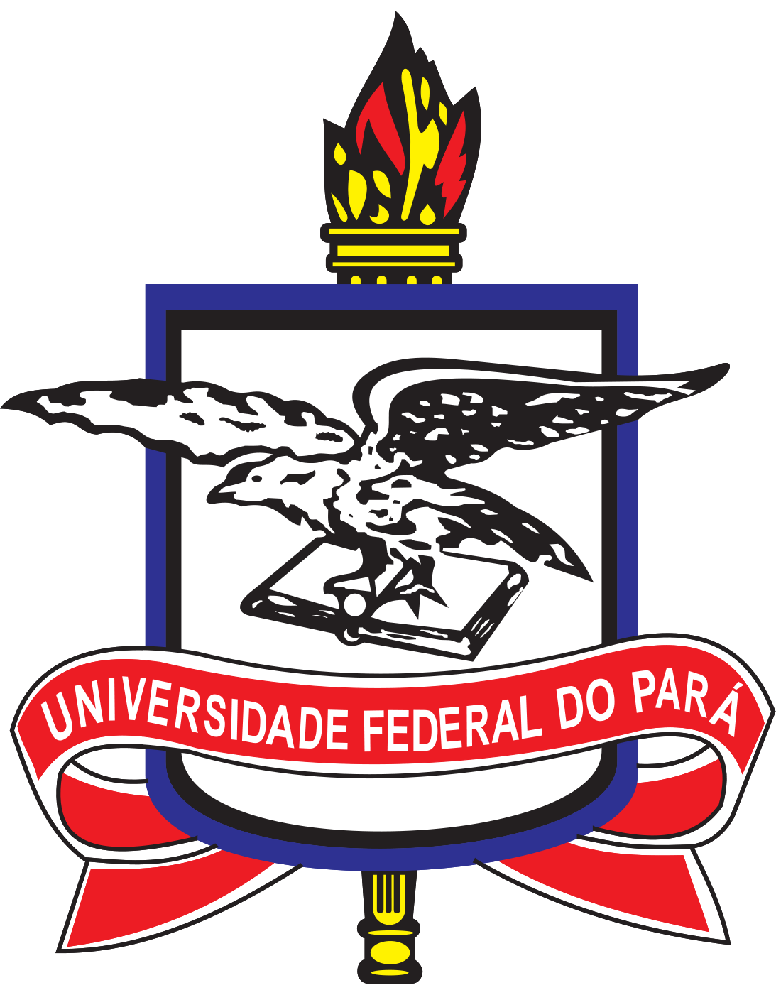 imagem da ufpa