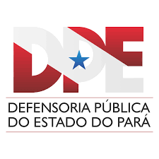 imagem do dpe-pa