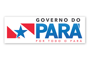 imagem do governo do pará